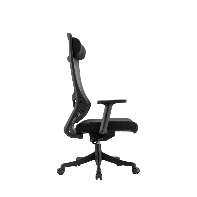 Best Black C750 Ergonomic President Office Chair